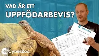 Vad &auml;r ett uppf&ouml;darbevis?