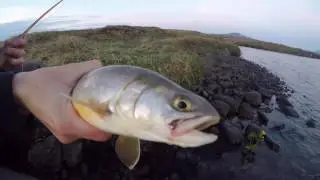 Skagaheiði og Vatnsdalsá
