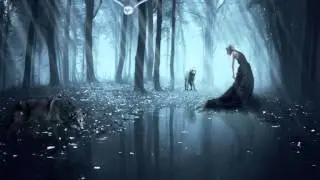 ALWOODS - Flying Owl (2012)
