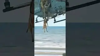 #usa🇺🇲 #k9trainer #dog🐕🐕 #dogfinstagram #trending #trainingdogs #k9 #tactical #viralshorts #fyp