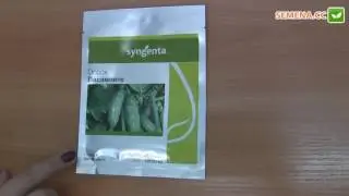 Пасамонте F1 огурец (Syngenta) Антифейк