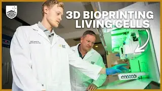 Can you 3D print organs?