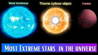 Most Extreme Stars in the Universe | Most Massive Star | Most Luminous Star |Throne-Zytkow object