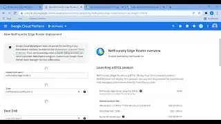 Spin up a NetFoundry customer ER in Google Cloud platform