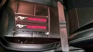 Seat Belt Pads for the Ford Mustang