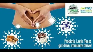 Kluyveromices marxianus and chocolate: a new benefit for consumers