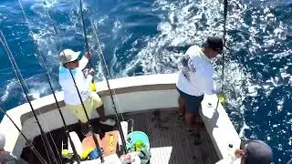 Lester Brings a Mahi to the Boat