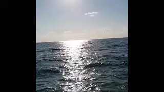 Condividi