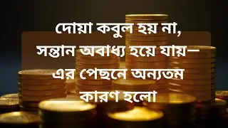 হালাল আয় বনাম হারাম আয় | Halal Income vs Haram Income Islamic Finance Guidance for Business Wealth