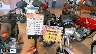 Обновление цен на Honda TMX 125❗❗❗ Наличные, первоначальный взнос, рассрочка💸 #honda #hondatmx #s...
