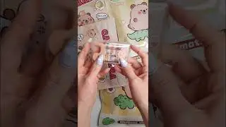 Capybara Blind Bags Unboxing ASMR 🐹🎁✨#asmr #blindbag #kawaii