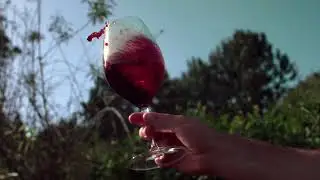 Slow-motion Food Videography 🍷📷 | Chronos Cameras
