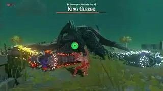 20 seconds King Gleeok Speedrun, The Legend of Zelda TOTK