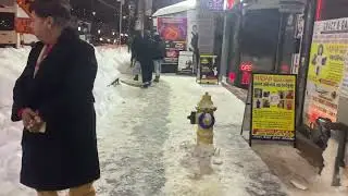 Banglatown in Toronto on Snowstorm Day - Jan 25, 2026