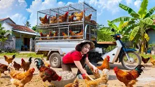 I Caught 1000 CHICKENS in One Day and Made a FORTUNE – Nature Survival Life