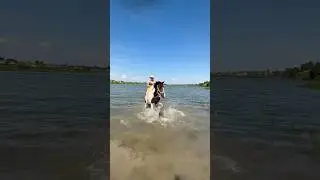 Bathing the Spotted Horse