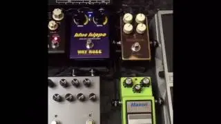 Way Huge Blue Hippo Analog Chorus ✋🏻🎸