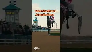 From the mind of Gary Guy... #steeplechase #garyguy #standardbred #standardbredcanada