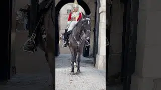 Horse was Completely Under The Female King's Guard's Control.  London UK  #londonlandmark