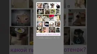 пиши в комментариях #котик #cats #wow  write in the comments #youtubeshorts