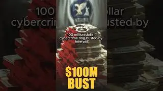 Inside the $100 Million Cybercrime Seized by Interpol #facts #money #news #crime #police