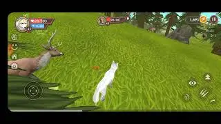como jogar jogo de lobo