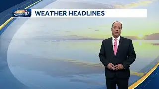Video: Sunny with low humidity