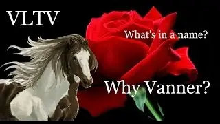 VLTV- The Name Vanner