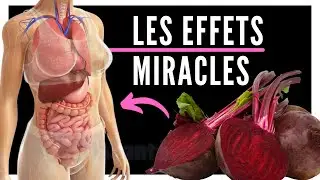 🔴  BETTERAVE &bull; &agrave; consommer Tous Les Jours apr&egrave;s savoir [Recette de Jus]