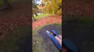 More satisfying leaf blowing 😍