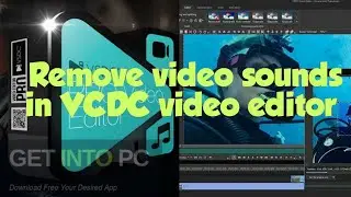 VSDC Free video editor :Removing audio from a video