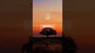 Say Yes To Heaven - Lana Del Rey | Speed up | Lyrics | English songs| I've got my eye on you.