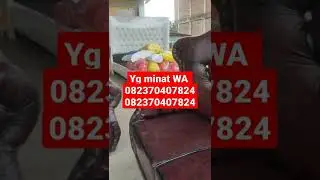 Keren!! Kursi Sofa Impressa Termurah, Sofa Awet Dan Anti Air, Perabotan rumah tangga Terkini Mewah
