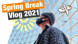 A CRAZY (Average) SPRING BREAK | Vlog 2021 | CA to NE