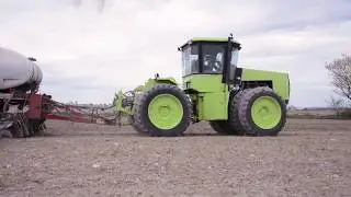 Plant17