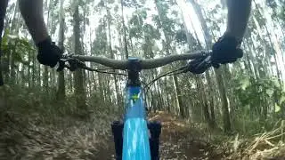 Cascades Mtb Enduro - new trail