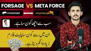 Forsage vs meta force || Which of the two gives more income?