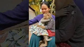Шэлли говорит: &laquo;Мне жаль, Я-Я&raquo;