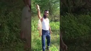 Best Fishing in Pathri Dist. Parbhani