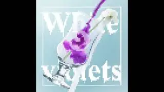 0s「White violets」