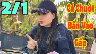 Người Bảo Vệ Nhà Số 5 Gặp Hồng Ni Tại Đồng Tháp 