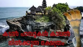 കടൽ പാമ്പുകൾ കാവൽ നിൽക്കുന്ന ബാലിയിലെ ക്ഷേത്രം/Tanah Lot Temple Bali IndonesiaMust watch sea Temple 
