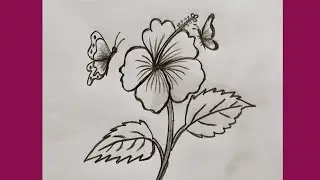 Hibiscus flower easy with Butterfly drawing//How to draw Beautiful Hibiscus flower//Sketch 