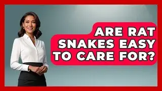 Are Rat Snakes Easy To Care For? - Reptilian Wonders