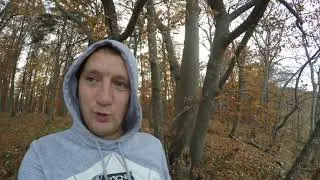 Про Леннинген.
