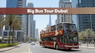 Big Bus Tour Dubai | Explore Dubai&rsquo;s Iconic Landmarks with Hop-On Hop-Off Sightseeing
