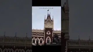 #court #highcourt #case #courtroomdrama #supremecourt #shorts #short #viral #lawyers #advocate