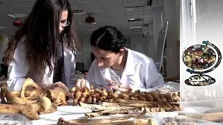 Cyprus Is Looking For Closure In Archaeology