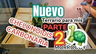 Armando Terrario  PARA TORTUGA  MORROCOY DE PATAS ROJAS