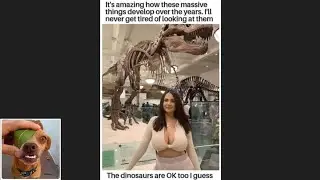 Memes That Will 99.0266% Make You Laugh. (e490)